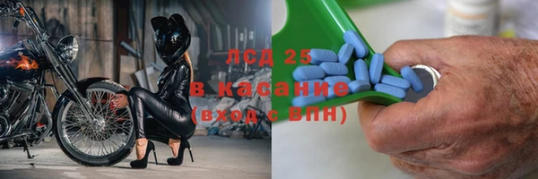 гидра Белоозёрский